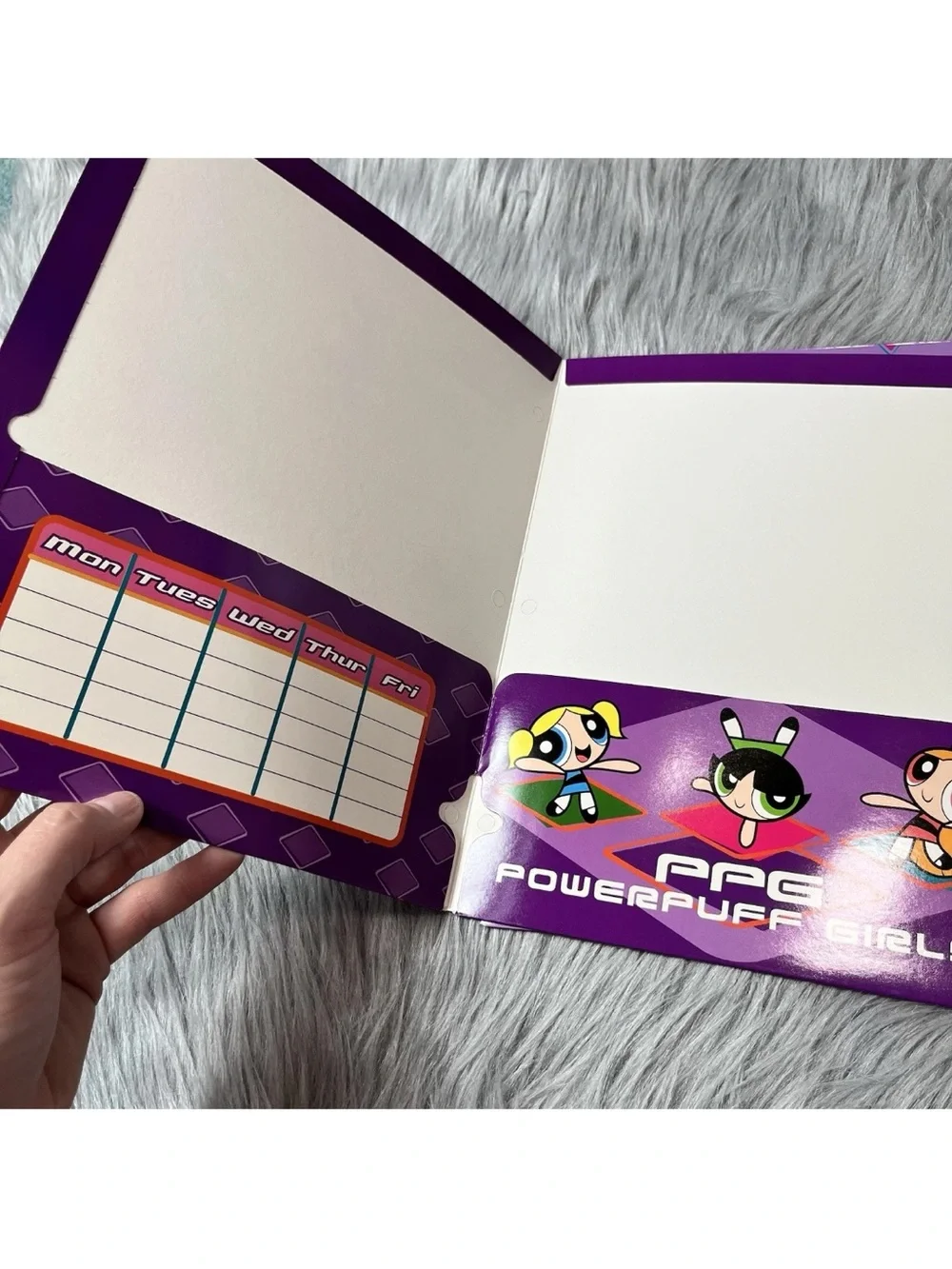 Vintage 2003 Y2K Powerpuff Girls Bundle Of 2 School Paper Folders